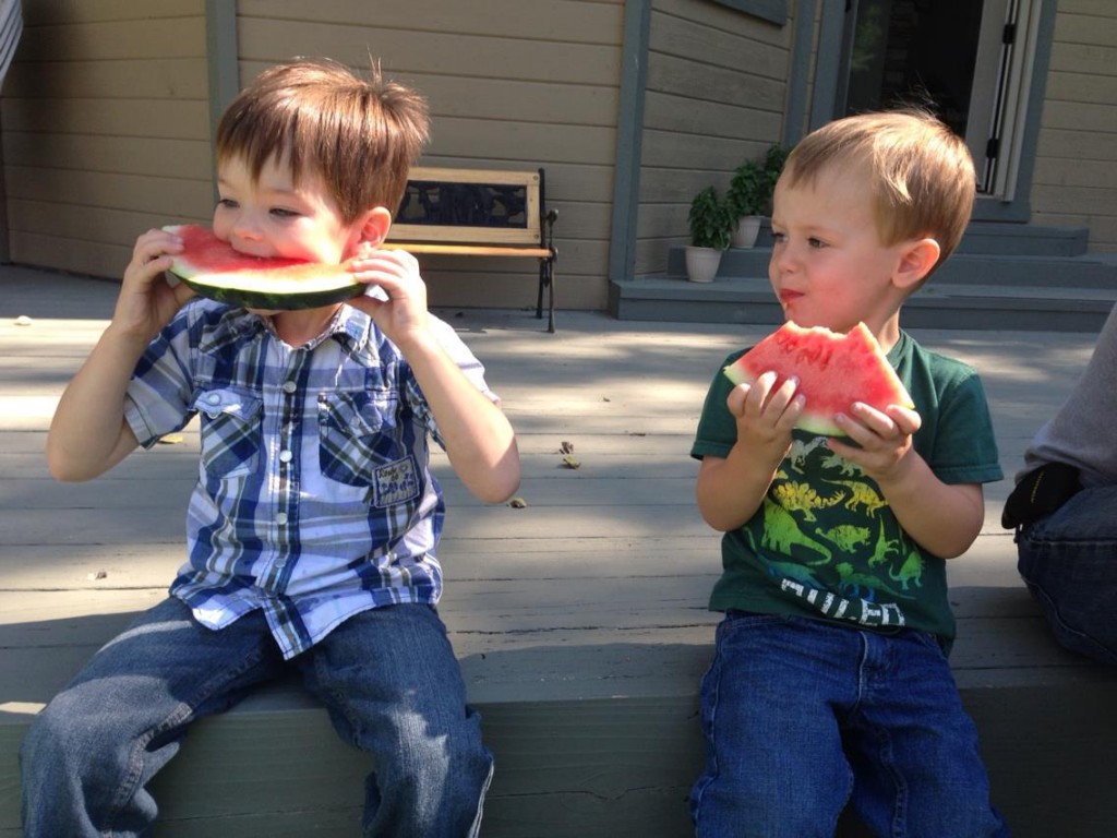 Two young boys on family vacation in Jackson Hole