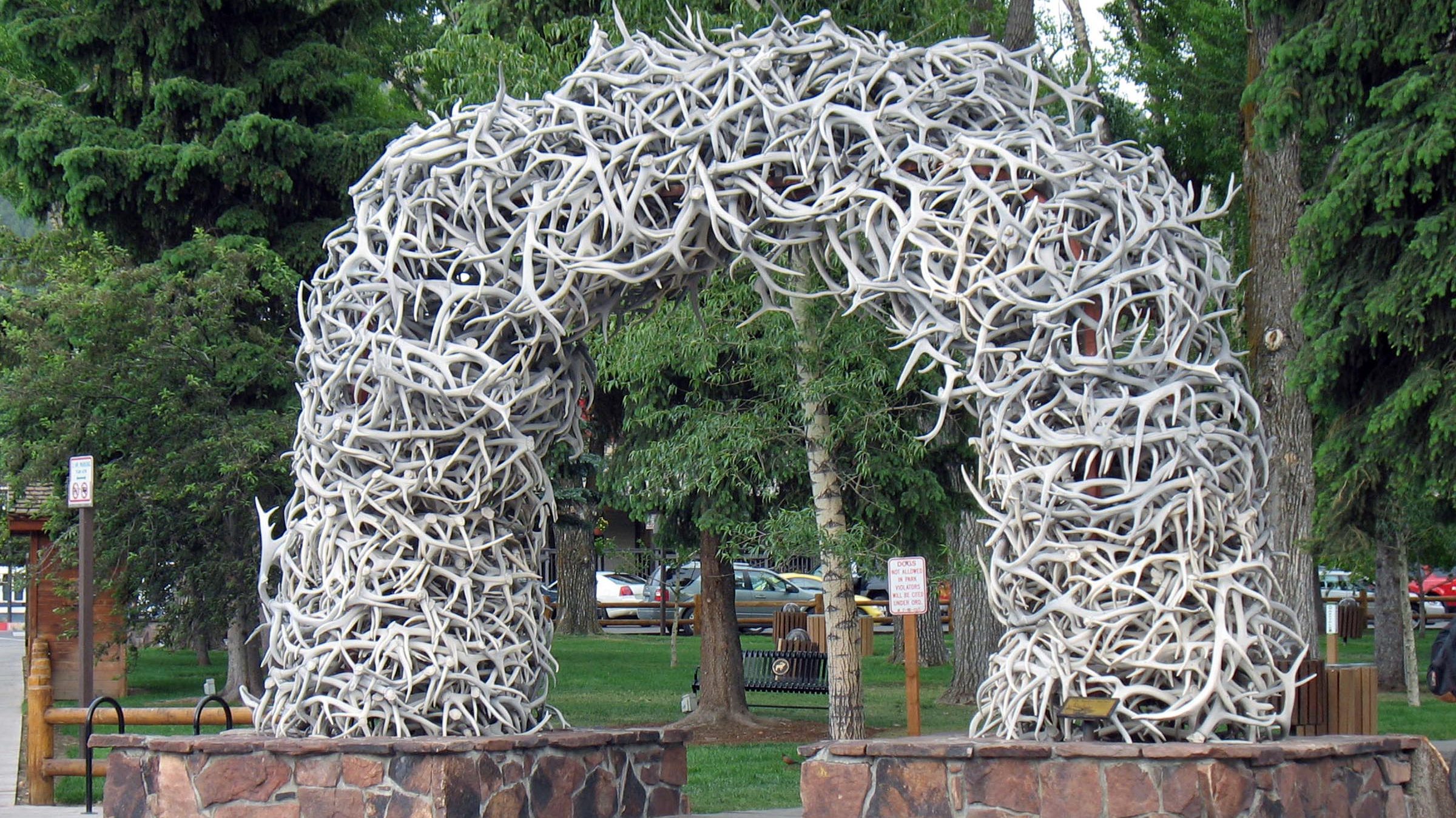 The History of The Jackson Hole Antler Arches