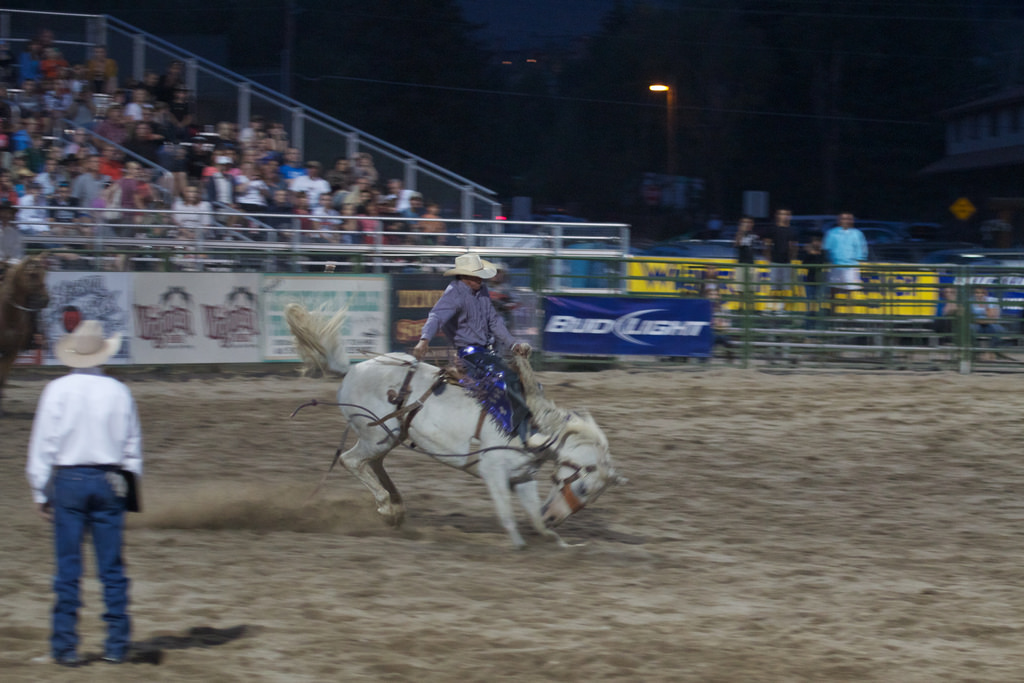 Experience the Jackson Hole Rodeo Jackson Hole Reservations