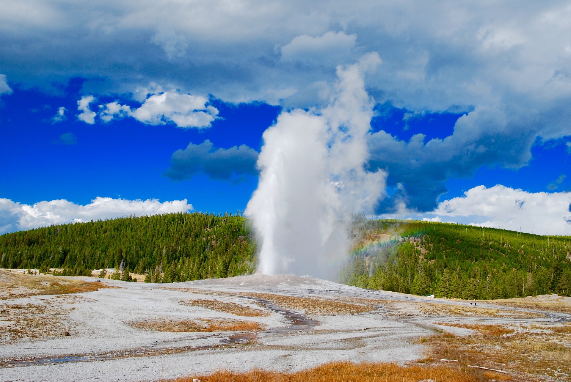 in which us state would you visit old faithful